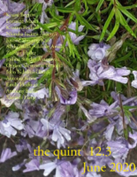 The Quint v12.3