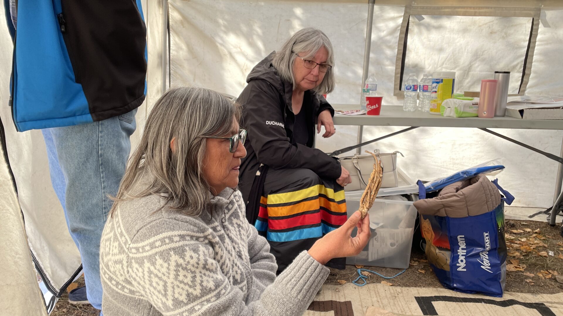 Elder Indigenous woman showing medicine.