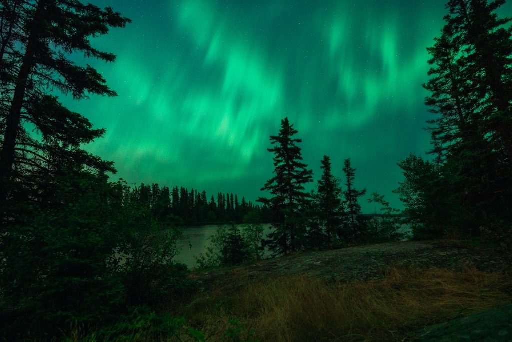 Northern Lights over the forest.